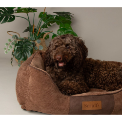 SCRUFFS CHESTER BED 90X70CM CHOCOLAT- XL