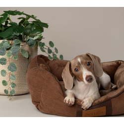 SCRUFFS CHESTER BED 90X70CM CHOCOLAT- XL