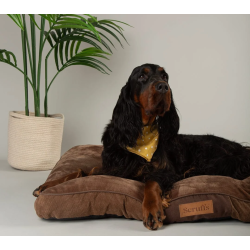 MATELAS CHESTER M 100X70CM CHOCOLAT