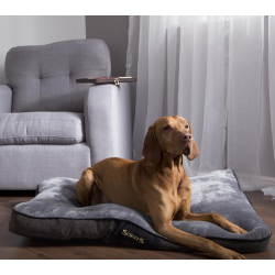 MATELAS CHESTER M 100X70CM GRIS