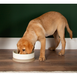 SCRUFFS BOWL SCANDI CREAM 16X16X5 cm