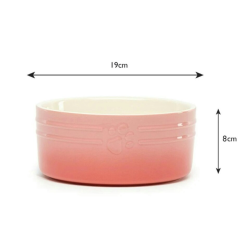 SCRUFFS BOWL OMBRE ROSE 19CM