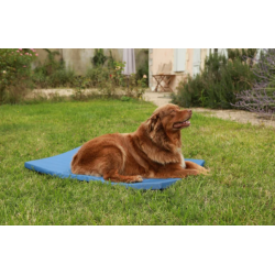 TAPIS BLEU 67cm 4 SEASONS