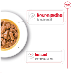 ROYAL CANIN CHIEN MEDIUM ADULT 10x140gr