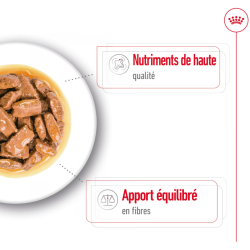 ROYAL CANIN CHIEN MAXI ADULT 10x140gr
