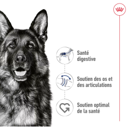 ROYAL CANIN CHIEN MAXI ADULT 10x140gr