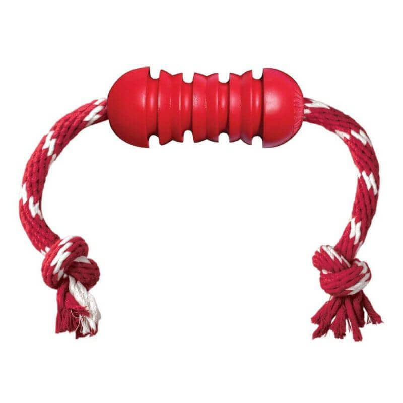 KONG Dental avec corde