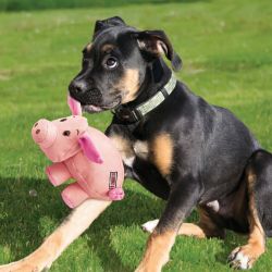 KONG Phatz Pig medium
