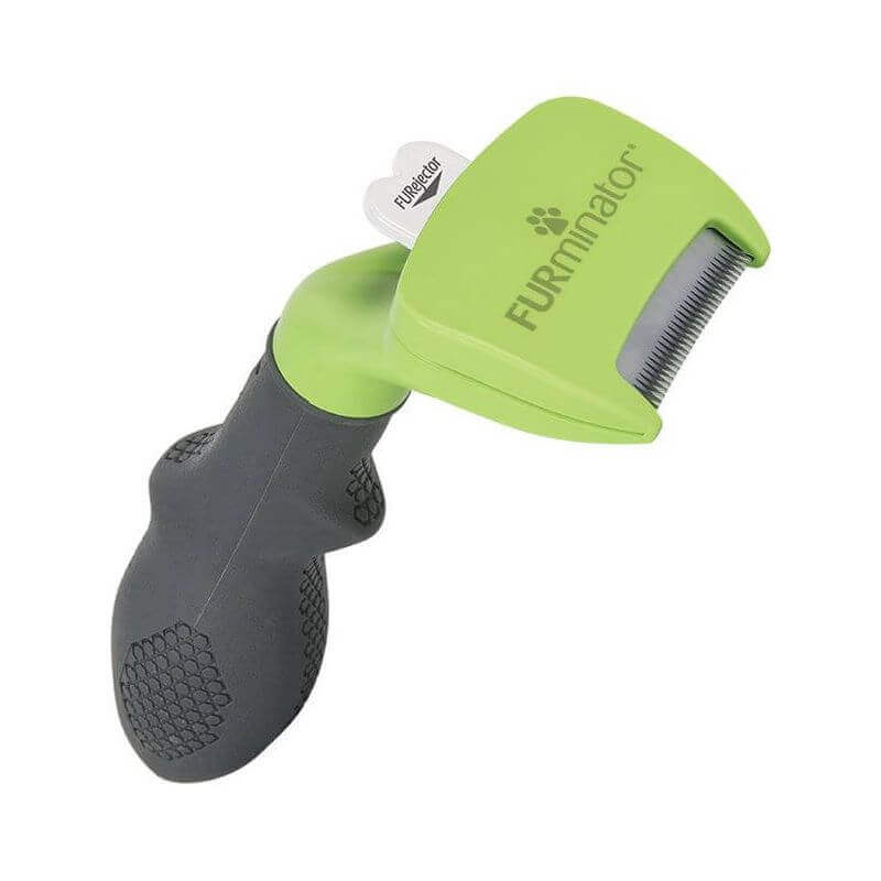 Brosse Furminator Pour Chiens De Petite Taille A Poils Courts Shampooing Et Toilettage Brosse Furminator Pour Chiens De Petite Taille A Poils Courts Shampooing Et Toilettage