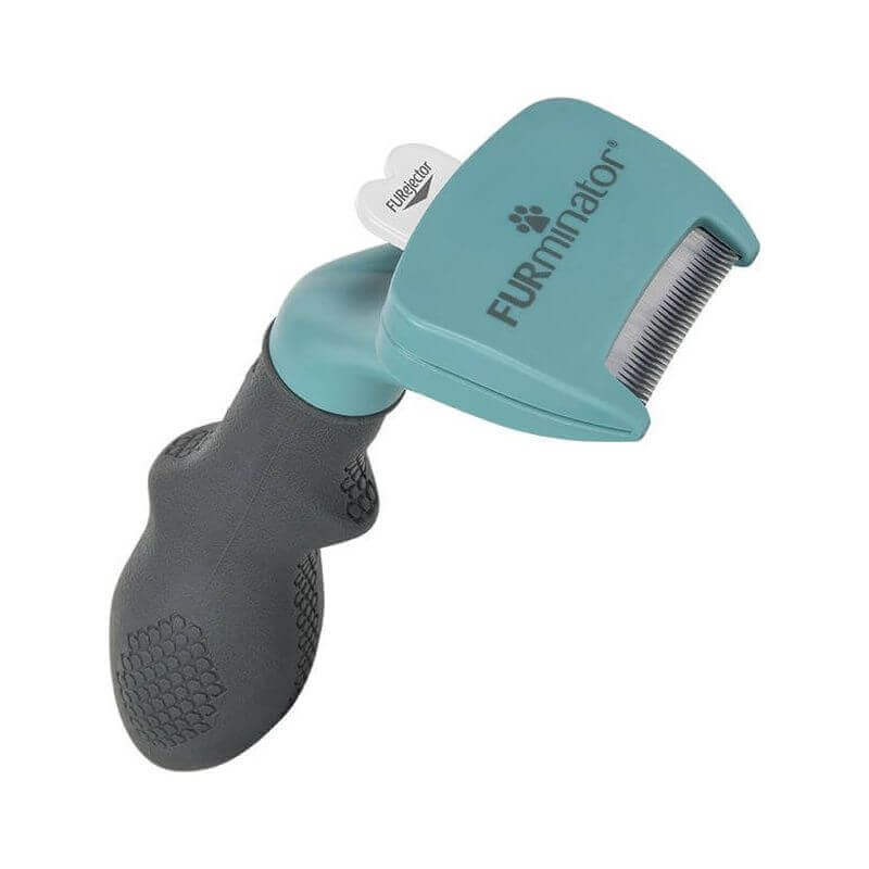 Brosse Furminator Pour Chats De Petite Taille A Poils Courts Shampooing Et Toilettage