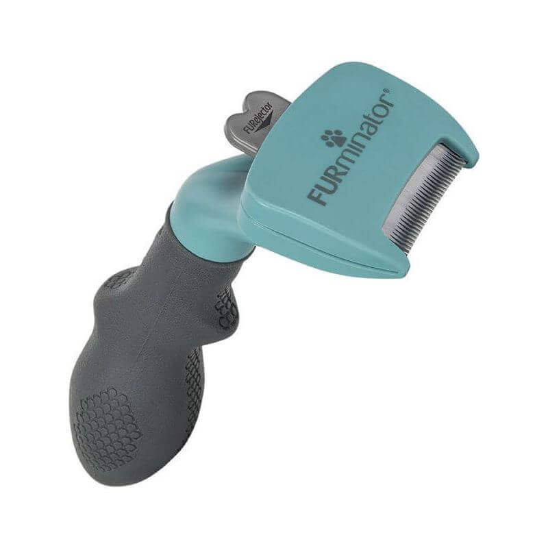 Brosse Furminator Pour Chats De Petite Taille A Poils Longs Shampooing Et Toilettage Brosse Furminator Pour Chats De Petite Taille A Poils Longs Shampooing Et Toilettage
