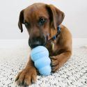 KONG Snacks pour Chiots L