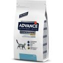 Advance Chat Gastroenteric