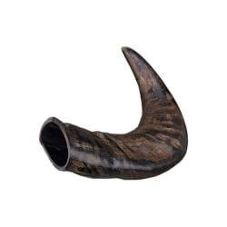 Corne de buffle 20cm