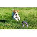 Puller Training Mini 18cm