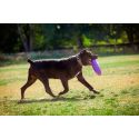 Puller Training Maxi 30cm