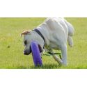 Puller Training Maxi 30cm