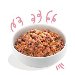 Boîte chien Canard et Poulet 400g Edgar Cooper
