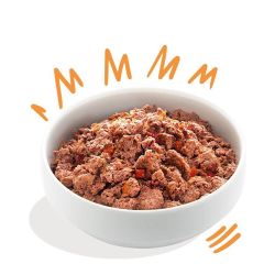 Boîte chien Poulet et Dinde 400g Edgar Cooper