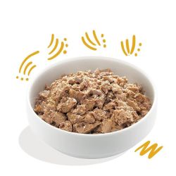 Barquette chien Dinde bio 100g Edgar Cooper