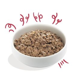 Barquette chien Boeuf bio 100g Edgar Cooper
