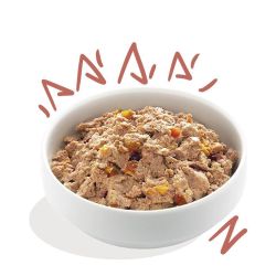 Barquette chien senior Poulet et Saumon 150g Edgar Cooper