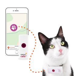 Collier GPS chat Weenect 2