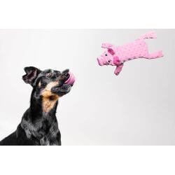 Dogmonsters cochon 36cm