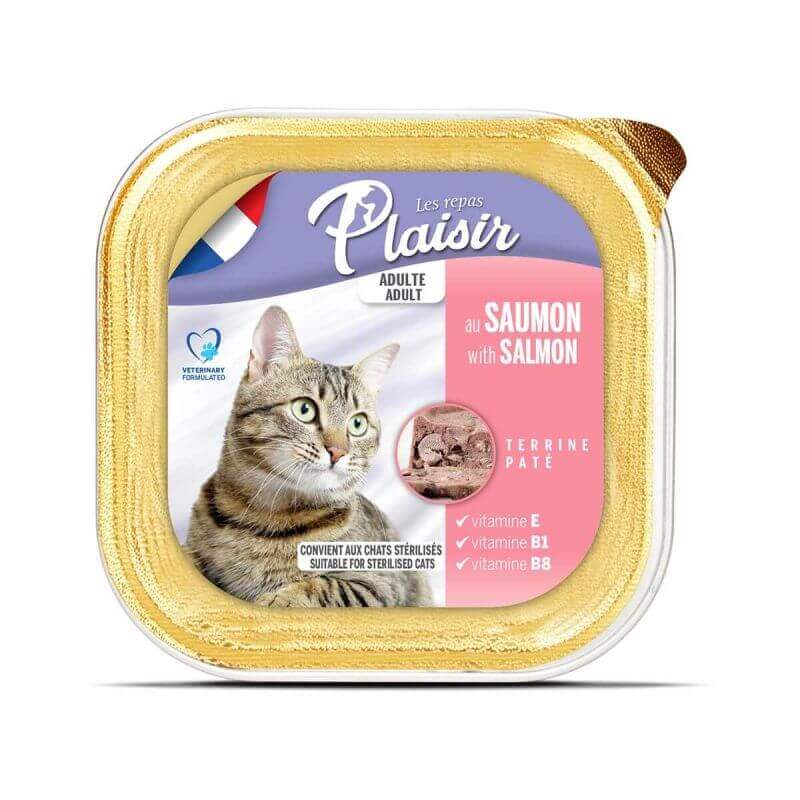 Terrine au saumon pour chat adulte 100g