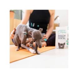 Mâch'sticks Menthe et Fraise petit chien 105g