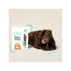 Mâch'sticks Menthe et Fraise chien moyen 160g