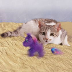 KONG Cat Enchanted Buzzy Unicorn