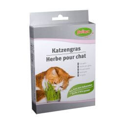 Herbe à chat 100g BUBIMEX