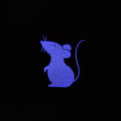 Pointeur à LED pour chat