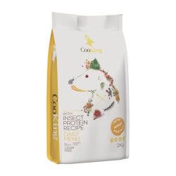 COOKING Chien insect 2KG