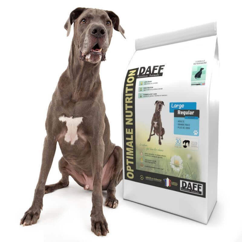 DAFF Large Regular 15 KG
