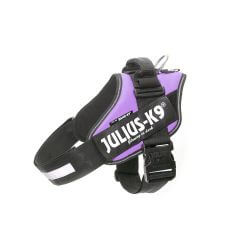 Harnais Julius-K9 IDC violet Taille Baby 1