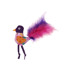 Oiseau avec plumes
