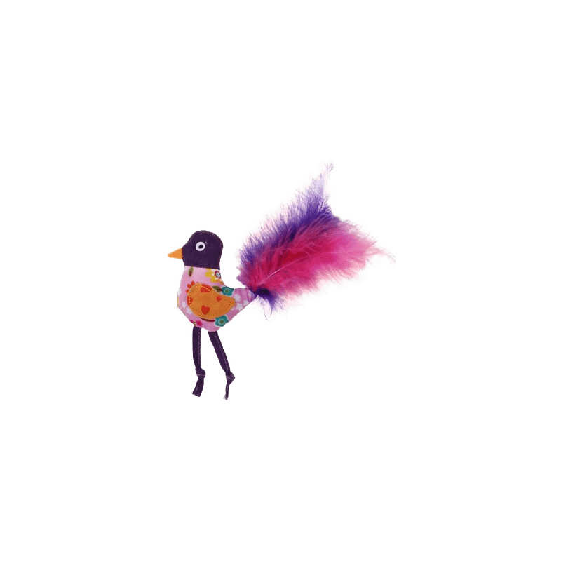 Oiseau avec plumes