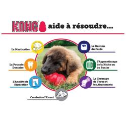KONG Puppy Taille M