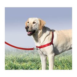 Harnais Easy Walk avec laisse Rouge Taille XL