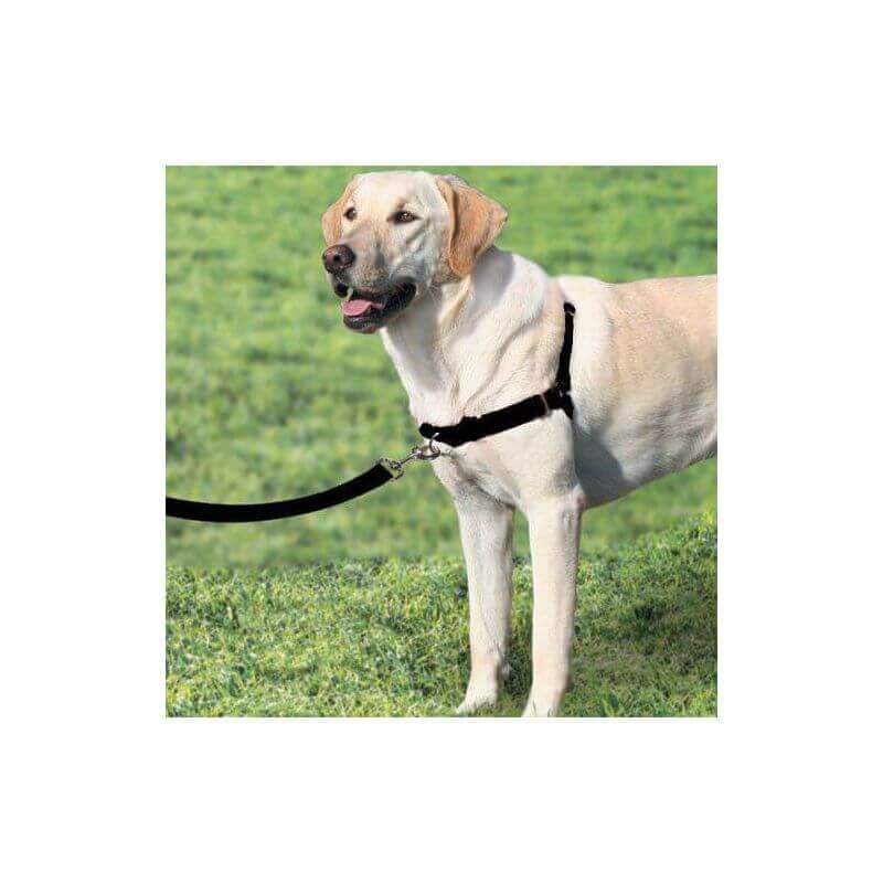 Harnais Easy Walk avec laisse Noir Taille M Harnais Easy Walk avec laisse Noir Taille M