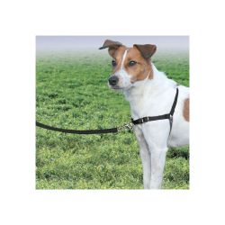 Harnais Easy Walk avec laisse Noir Taille M
