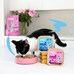 Barquette chaton Cabillaud et Poulet 85g Edgar Cooper