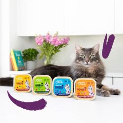 Barquette chat Dinde et Poulet 85g Edgar Cooper