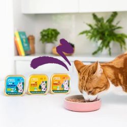 Barquette chat Saumon et Poulet Bio 85g Edgar Cooper