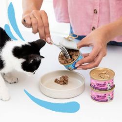 Boite chaton Cabillaud et Poulet 85g Edgar Cooper