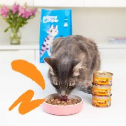 Boite chat Poulet 85g Edgar Cooper