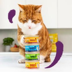 Boite chat Saumon et Poulet 85g Edgar Cooper