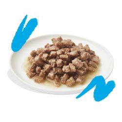 Boite chat Saumon et Poulet 85g Edgar Cooper
